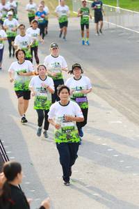 BIB: 
                            <button type="button" onclick="openModal(3551798)" class="btn btn-primary btn-sm float-right btn-popup" data-toggle="modal" data-target=".modal-high-quality">
                        <i class="fas fa-shopping-cart"></i> Add to Cart
                    </button>
                                            <button type="button" onclick="isThisMe(3551798, true)" class="btn btn-success btn-sm float-right btn-popup btn-isme hidden" data-toggle="tooltip" data-placement="bottom" title="นี่คือรูปของคุณใช่ไหม คลิกที่นี่เพื่อเอาเข้าอัลบั้ม">
                        <i class="fas fa-plus"></i> Add to album
                    </button>
                    <button type="button" onclick="isThisMe(3551798, false)" class="btn btn-warning btn-sm float-right btn-popup btn-isnotme hidden">
                        <i class="fas fa-ban"></i> Remove from album
                    </button>